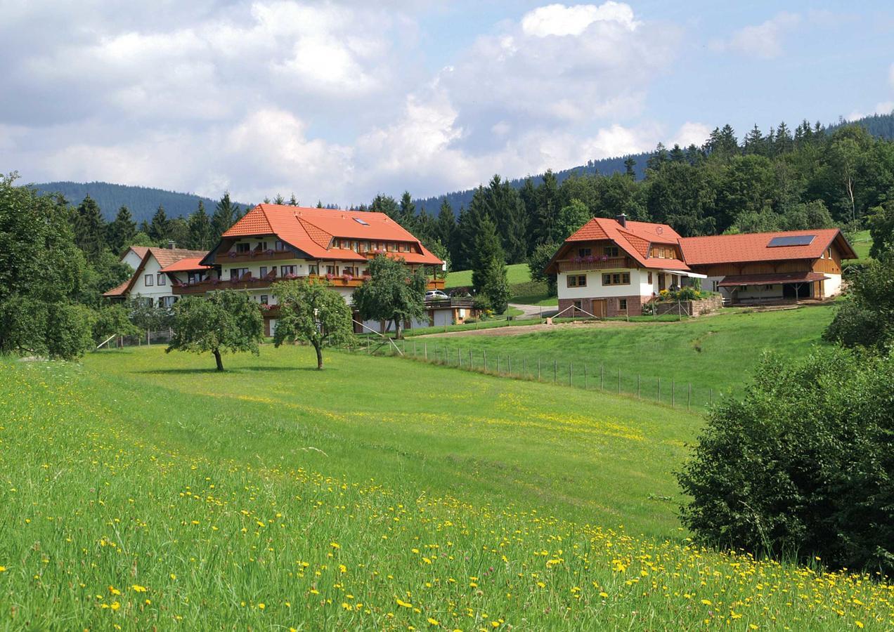 Hotel Zum Breitenberg Bad Peterstal-Griesbach Luaran gambar